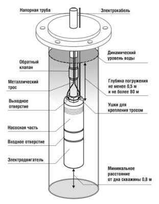 Скважинный насос Belamos 3TF-170 (кабель 50м)