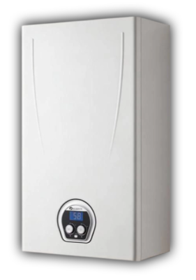 Котел газовый двухконтурный Federica Bugatti Eco Light 40B